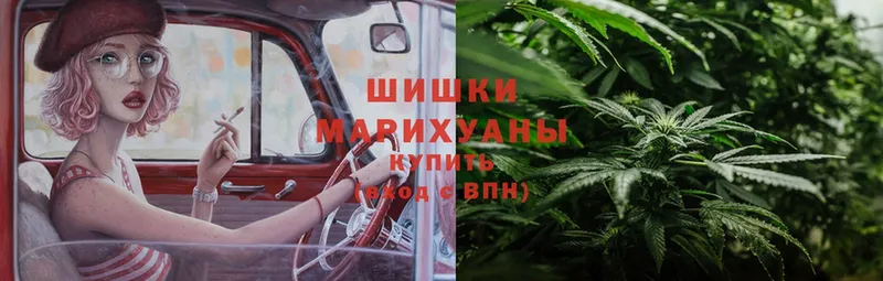 Канабис OG Kush  Великий Устюг 